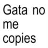Gata no me copies