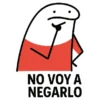 NO VOY A NEGARLO