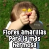 Persy Flores amarillas Para la más hermosa