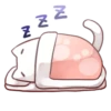 Kitty ♡ | ➩ tg: ✨ 11