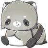Raccoon Moods 5