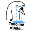Todo me duele...