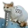 🍒🫦 CALIENTES pal Chat 🫦🍒🔥 8