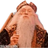 Harry Potter 🧙‍♂️ 11