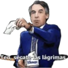 Perros 13