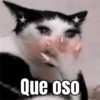 Memes de gatos 🐱😂 8