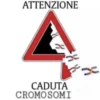 ATTENZIONE CADUTA CROMOSOMI