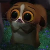mort 9