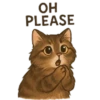 OH PLEASE