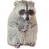 Animalitos Ⅰ 10