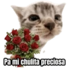 Pa mi chúlita preciosa