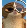 mort 10