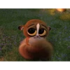 mort 11