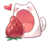 Kitty ♡ | ➩ tg: ✨ 16