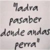 "ladra pasaber donde andas perra"