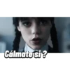 Cálmate si?