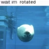 wait im rotated