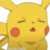 Pokémon Pikachu💛 17