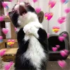 receiving love 15