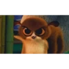 mort 13