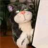 gato lucifer (peluche) 🐈‍⬛ 17