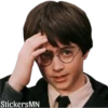 Harry Potter 🧙‍♂️ 16