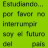 Estudiando... por favor no interrumpir soy el futuro del país