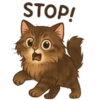 STOP