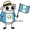 Flork patriótico 😗🌍 9