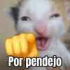 Memes de gatos 🐱😂 12