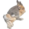 Animalitos Ⅰ 11