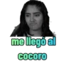 los polinesios 20
