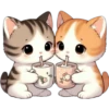 💥Ggc Gatitos💥 18
