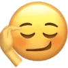 🎵🫟TIKTOK Stickers|Memes🫟🎵 22