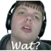 Wat?