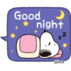 Good > night @lexa N