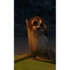 mort 19