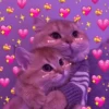 🧋🌸 AMORCITO 💕💘 7