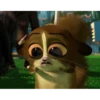 mort 20