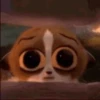 mort 21