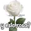 @Florksilav y esta rosa?