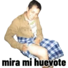 Perros 24