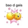 bso d geis
