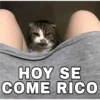 🔥𑄝GATOS HORNY/HORNY CATS𑄝🔥 7