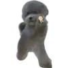 Perrito 🐶 5