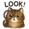 LOOK!