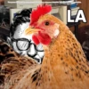 *imagenes del montaje pertenecientes al youtubery streamer Bality Belt. Todos los derechos reservados. LA www