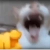 🎵🫟TIKTOK Stickers|Memes🫟🎵 28
