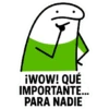 ¡WOW! QUÉ IMPORTANTE... PARA NADIE