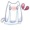 Kitty ♡ | ➩ tg: ✨ 28